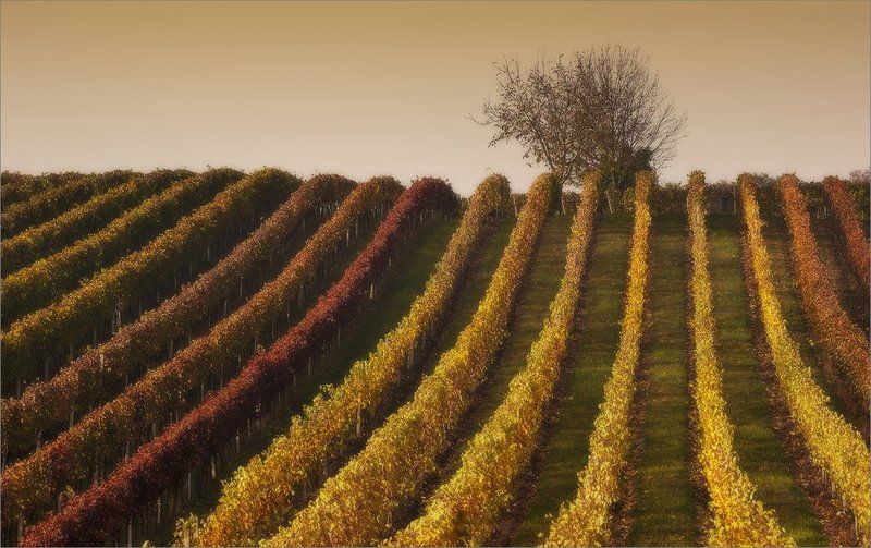 моравия.....  фото превью