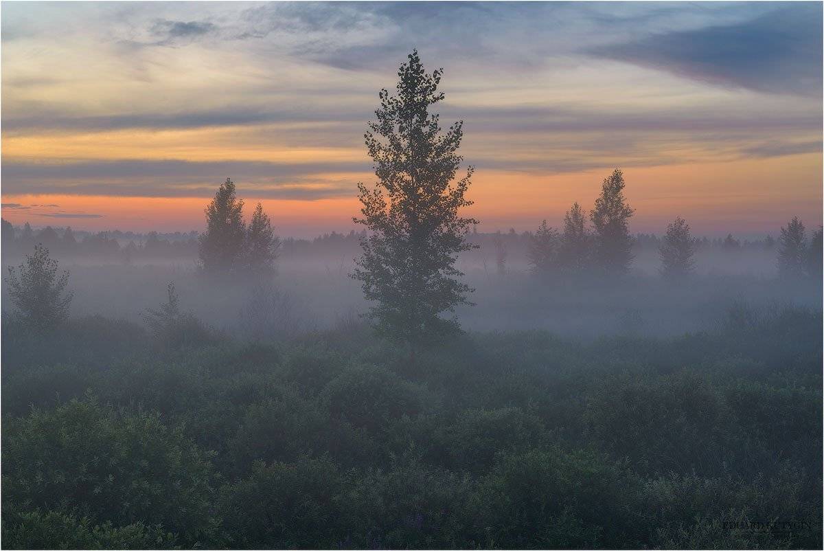 , Кутыгин Эдуард