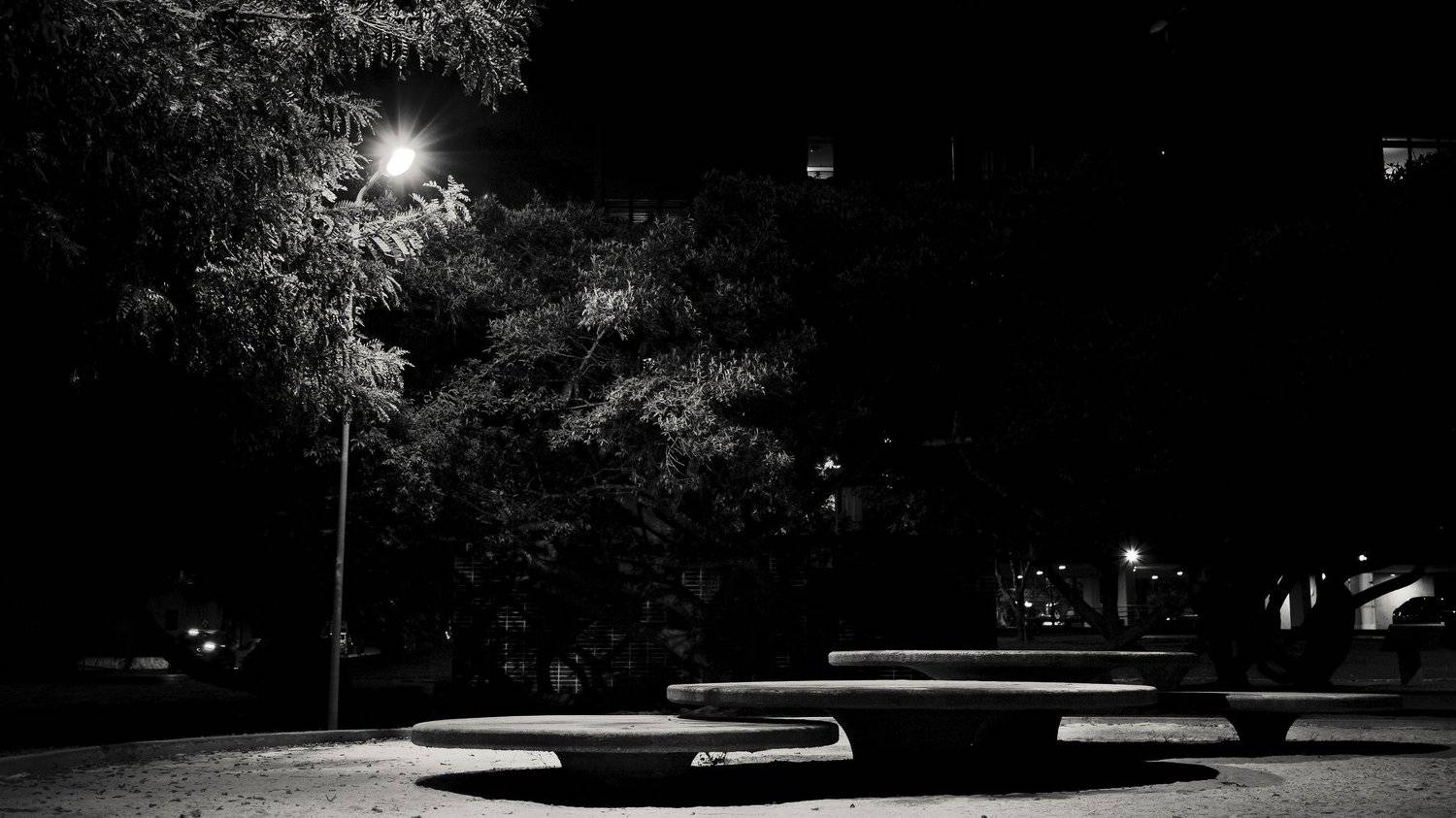 , francisco willian saldanha