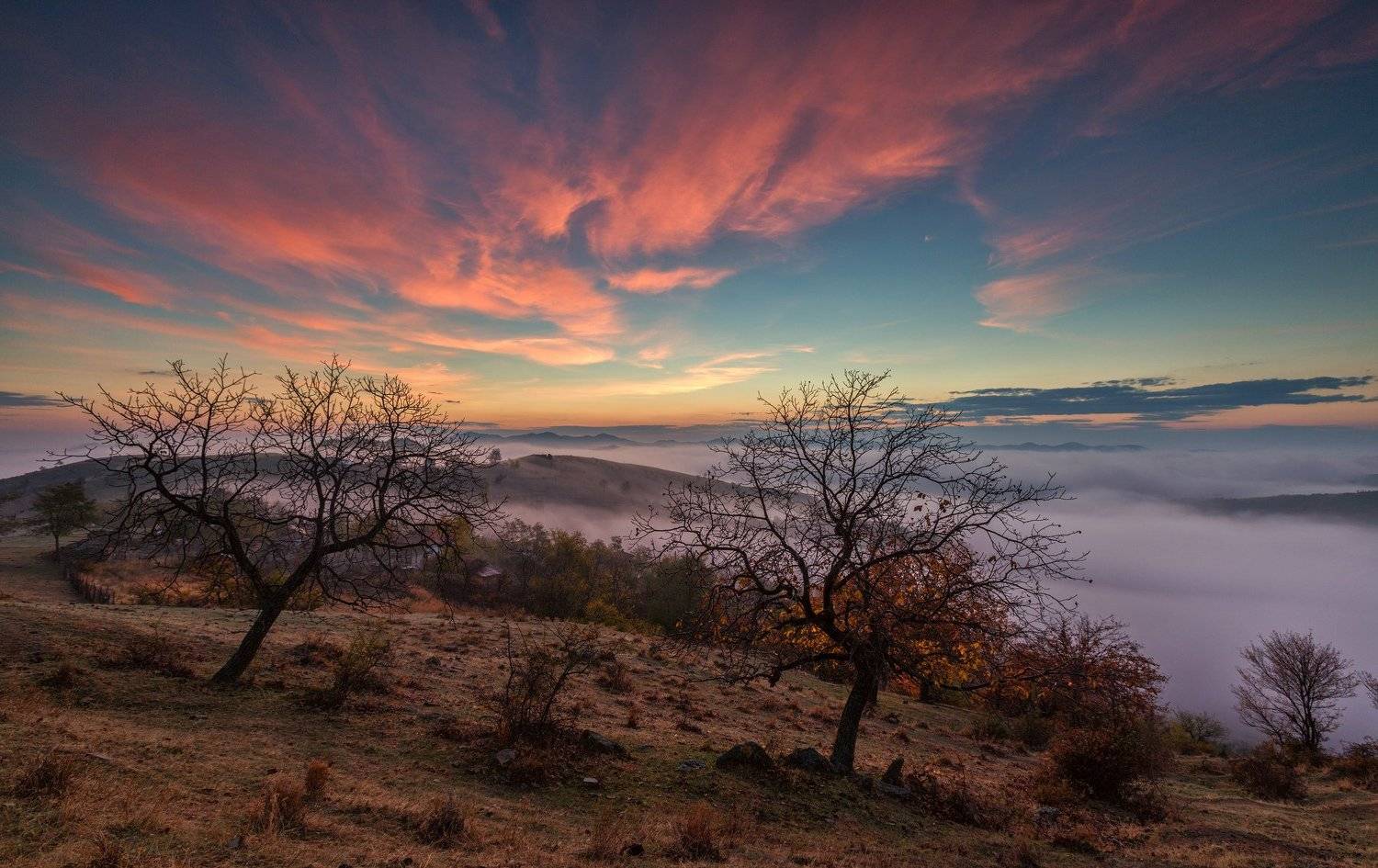 , Костадин Маджаров