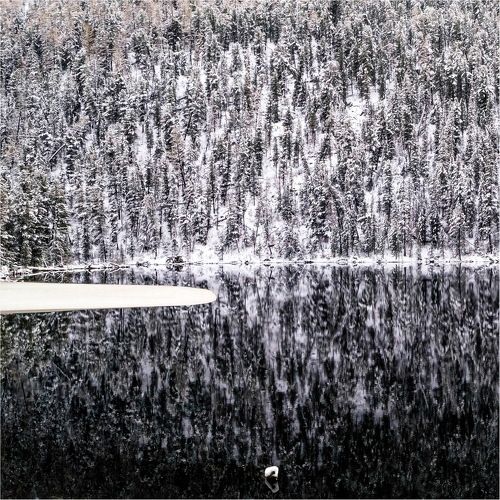 Чейбек - Коль...