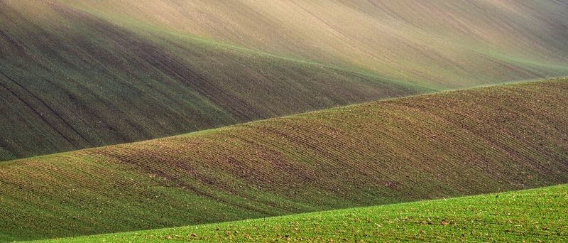 czech, field, wave, curve, europe, famous place, landscape, natural landmark, nature, bent, autumn, grass, travel, travel destination, travel and tourism, water, outdoor, view, colorful,  sunset, mood, fall, green, beautiful, vast, bend, calm, silence, im Ocean #1 фото превью