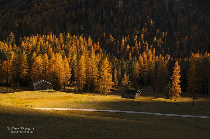 autumn, dolomites, fall, yellow, sunlit, light, italy, mountains, valley Autumn light фото превью