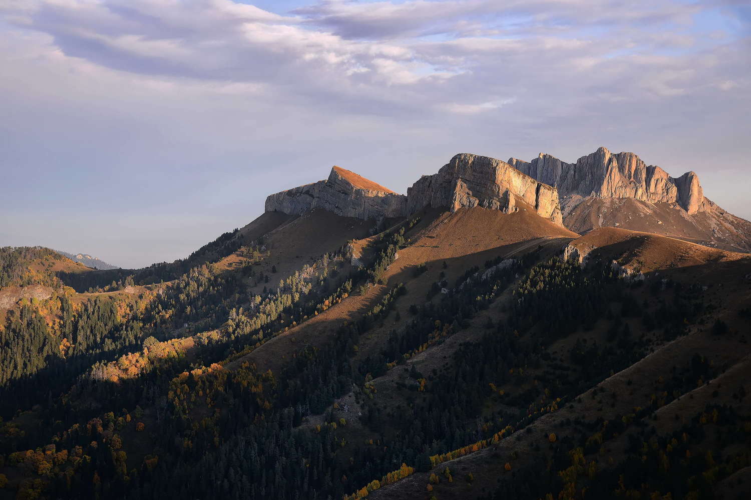 , Поздняков Алик