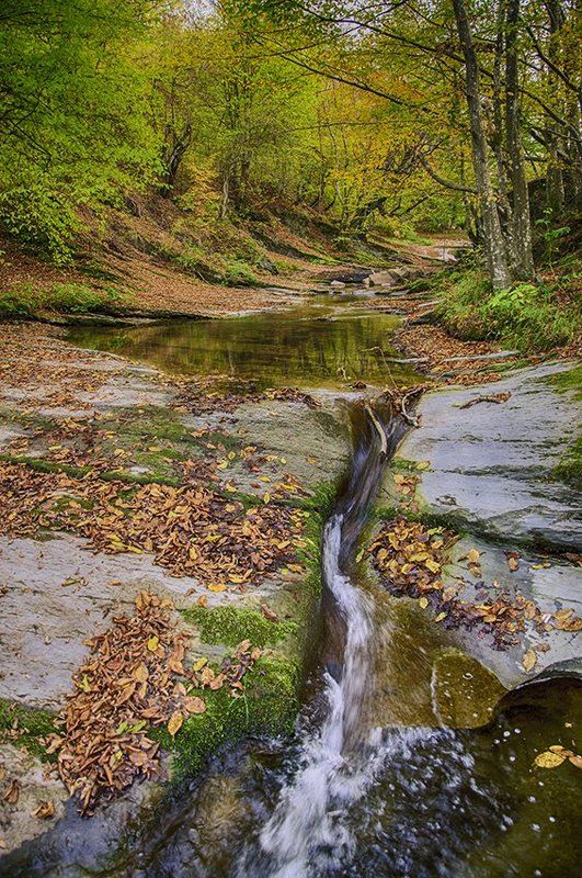 Осень фото превью