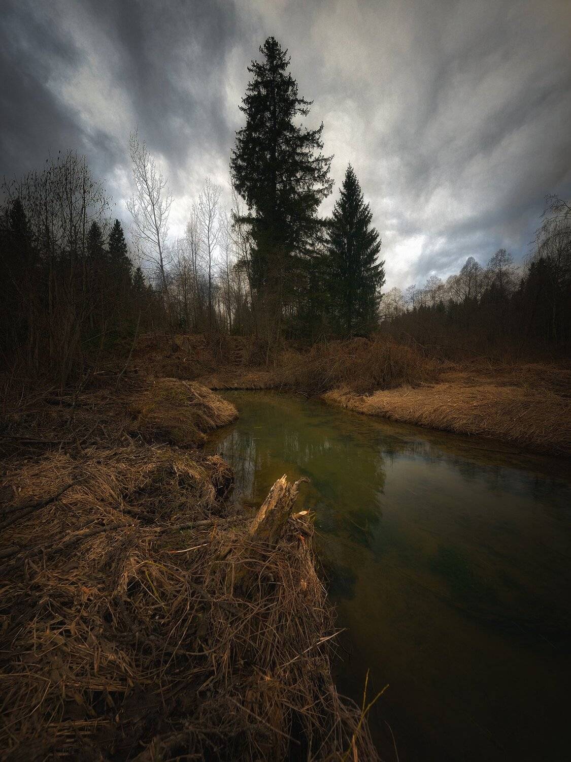 , Алексей Никонов