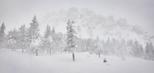 Заметает.