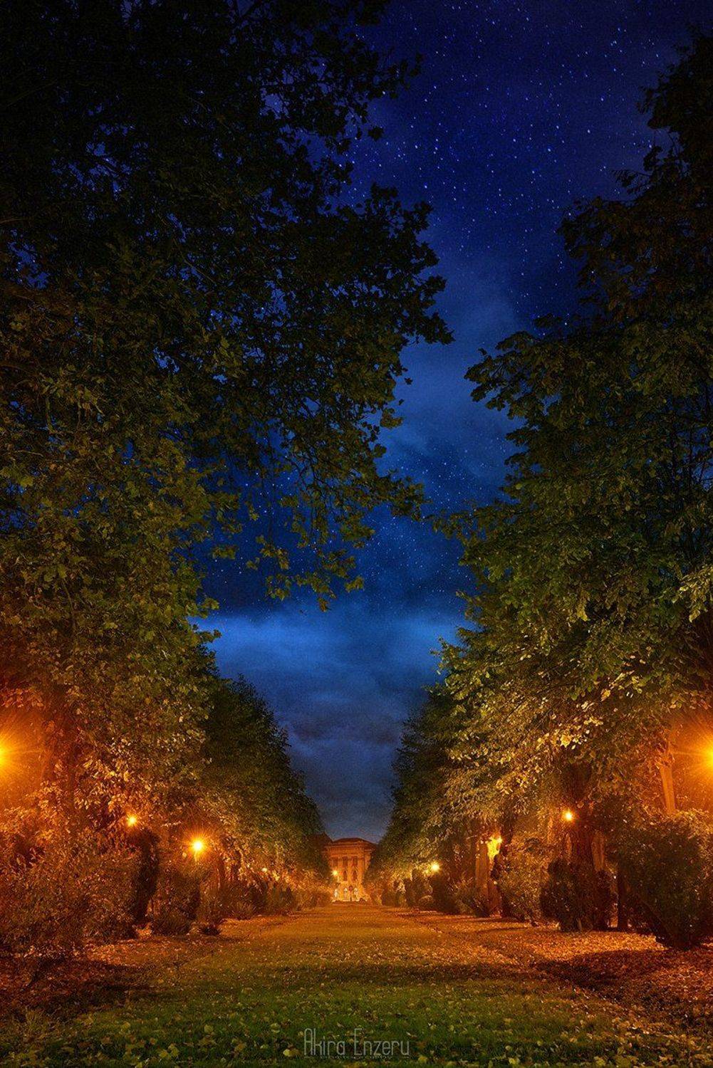 night, landscape, stars,, Enzeru Akira