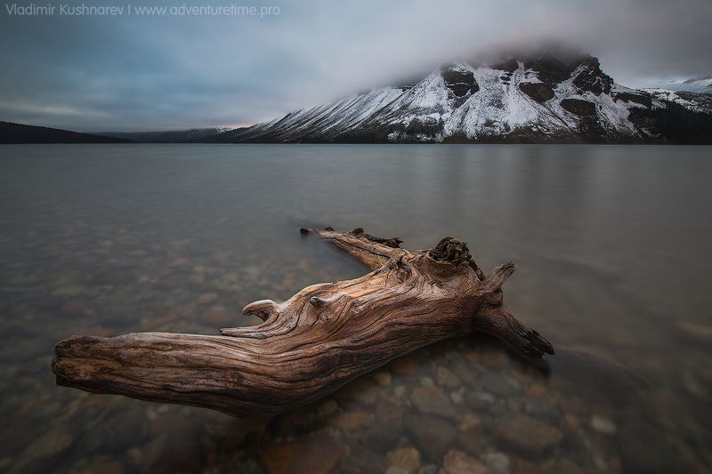 Gloomy Morning фото превью