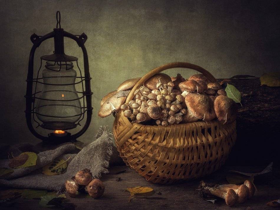 натюрморт, грибы, опята, корзина, фонарь, пенек, Ирина Приходько