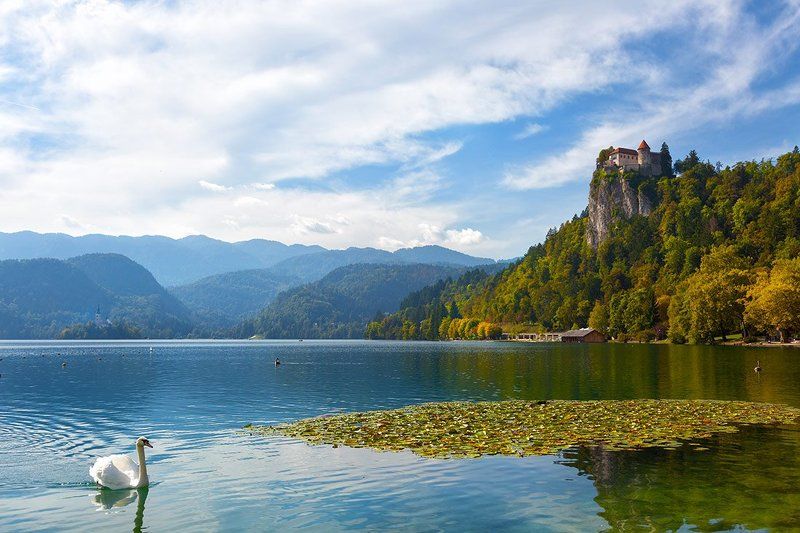 Солнечный день на Бледе фото превью