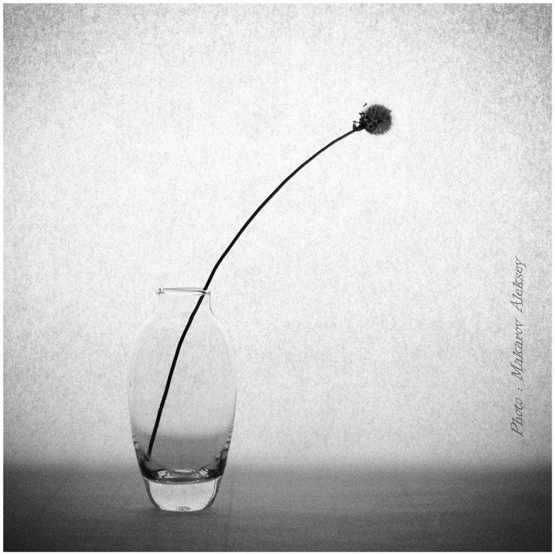 Про одиночество. фото превью