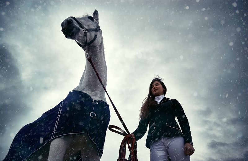 The winter vacation. фото превью