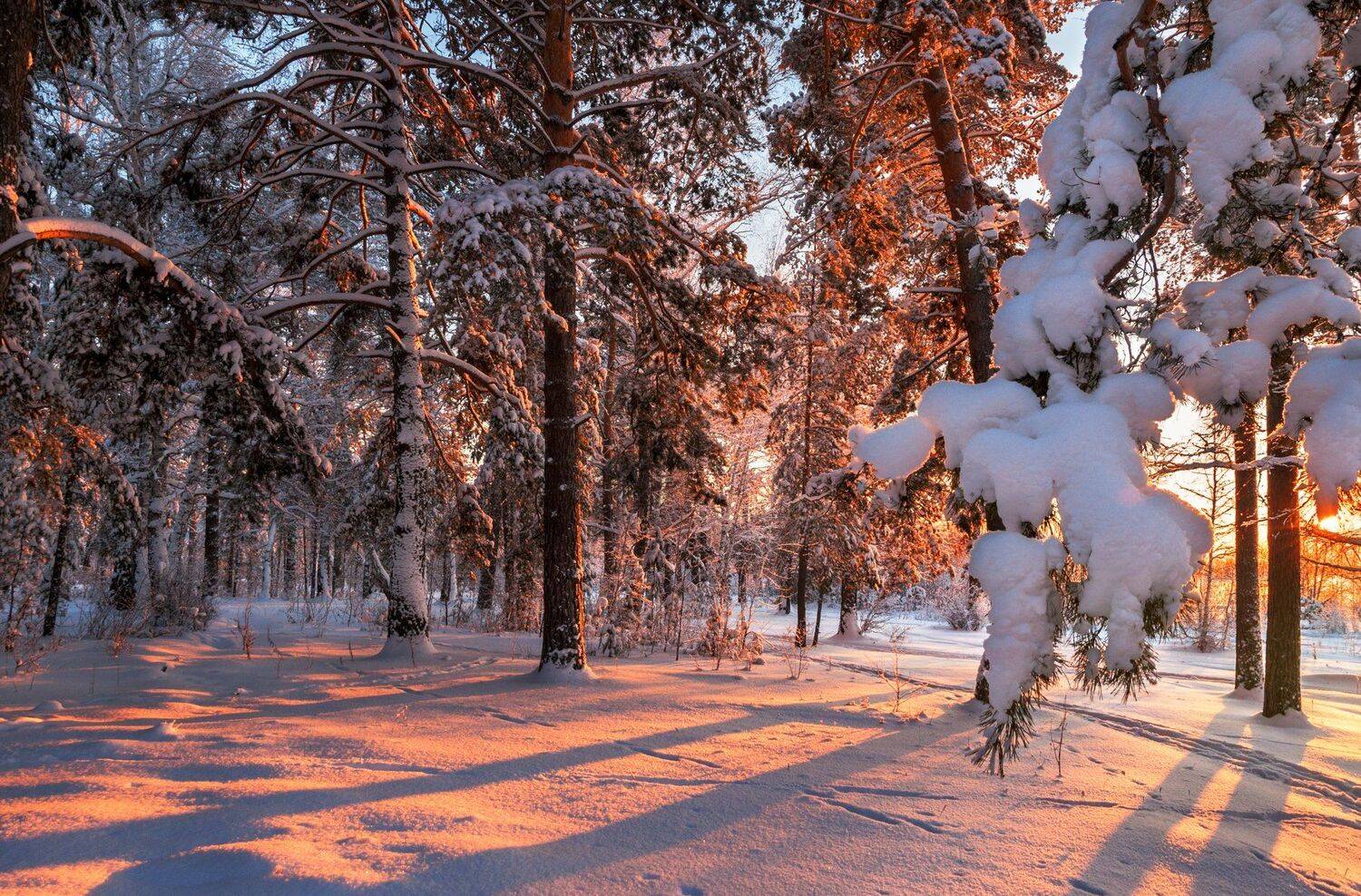 , Олег Богданов