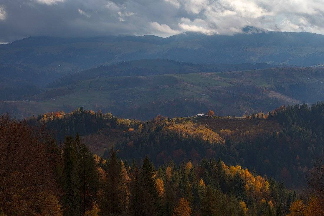 , Ярослав Тюрменко (Jaremi)