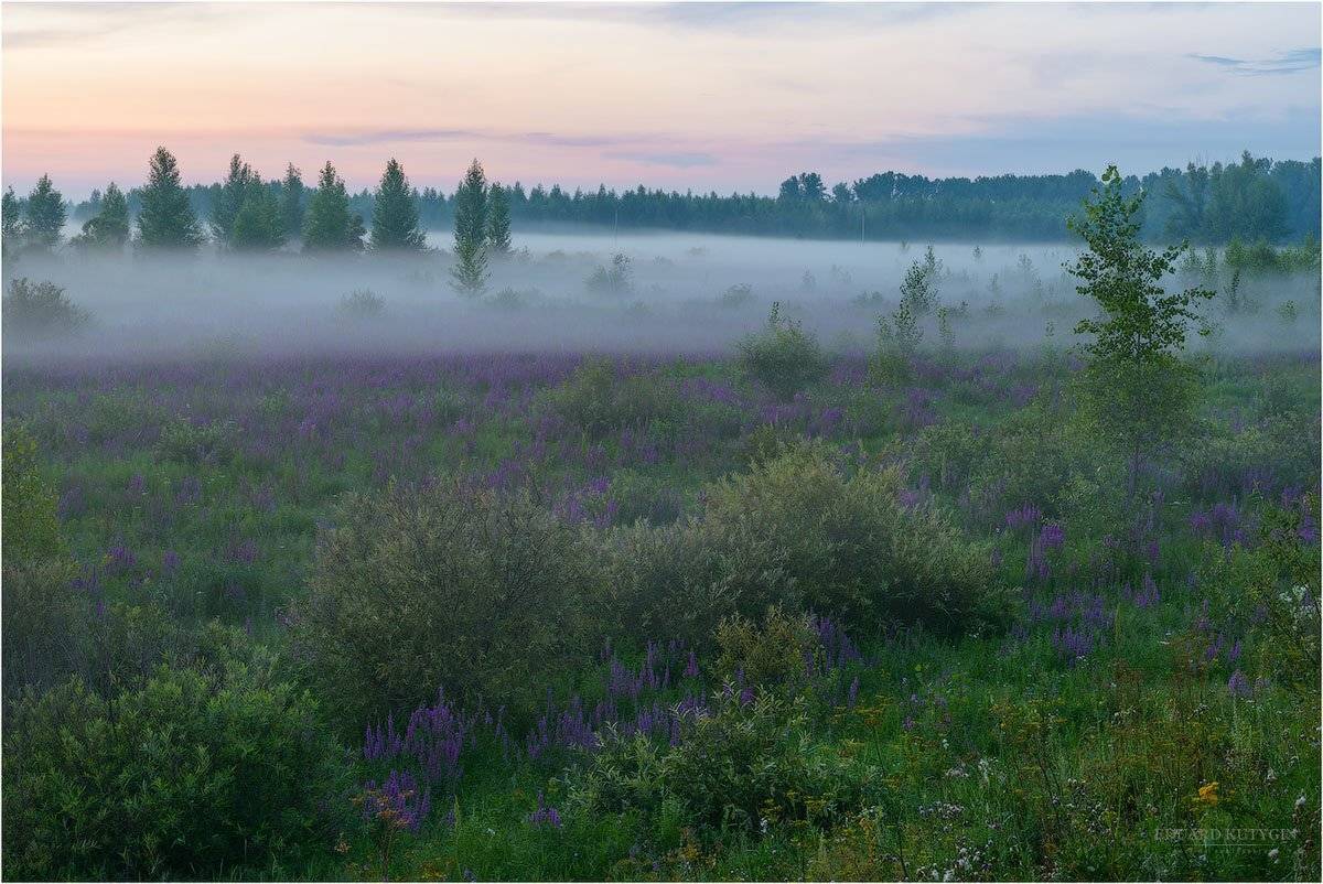 , Кутыгин Эдуард