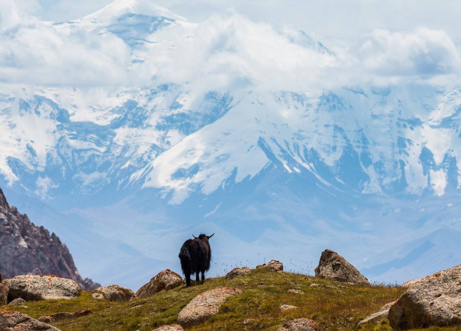 кичик-алай, як, памир, горы, памиро-алай, Evgeniy Khilkevitch