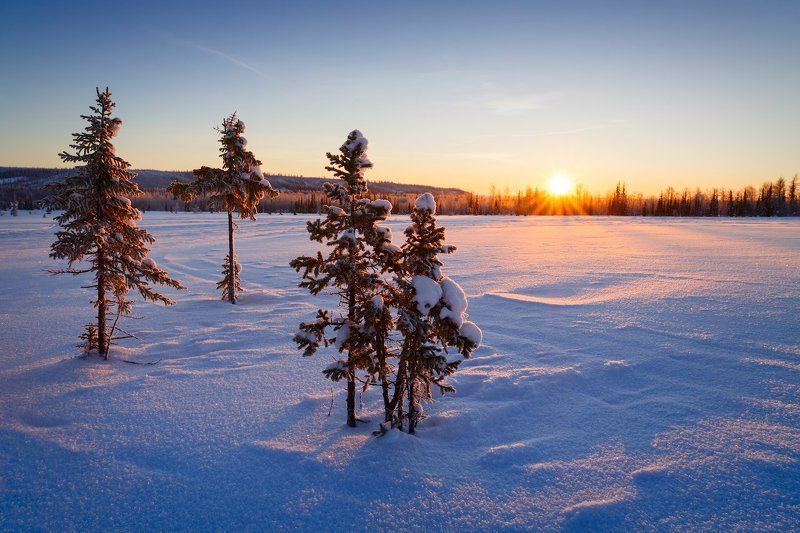 Зимнее утро на севере фото превью