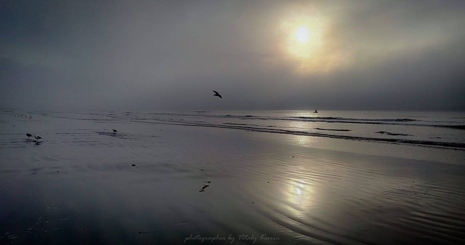 , Виталий Курин