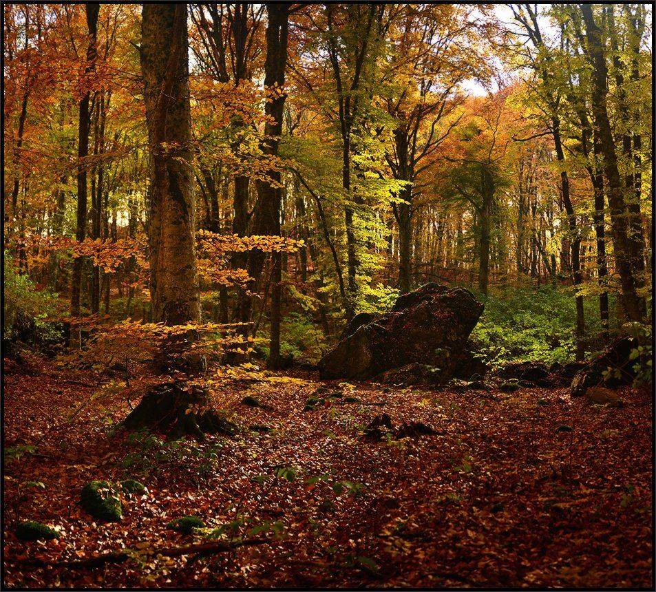 , Владимир Метцгер