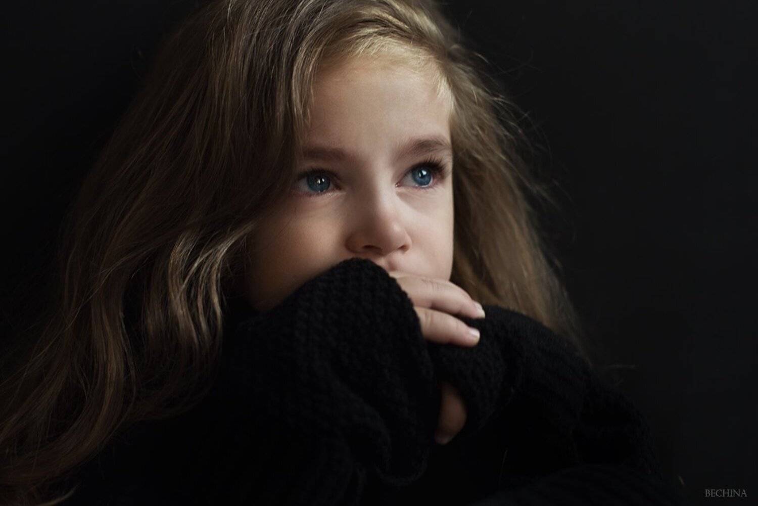 , Диана Бечина