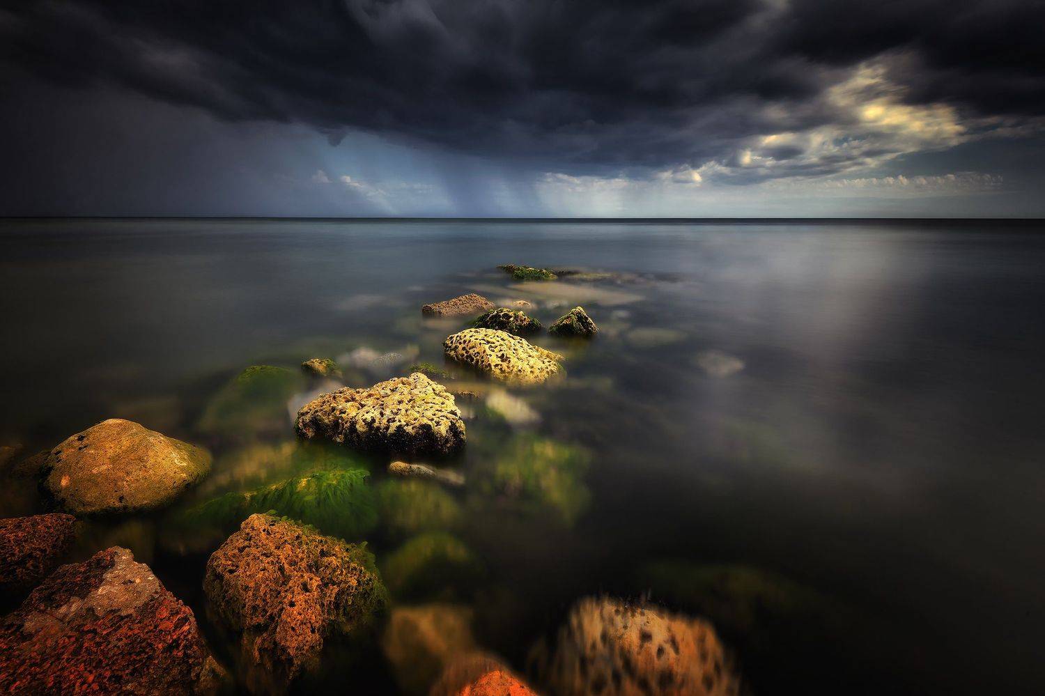 , Алексей Никонов