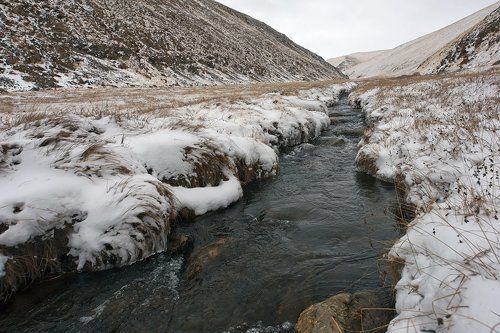 Pro ручей Чаган-Баян