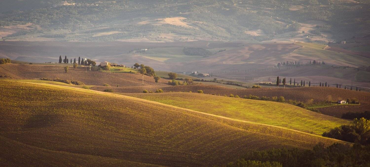 , Игорь Криницын