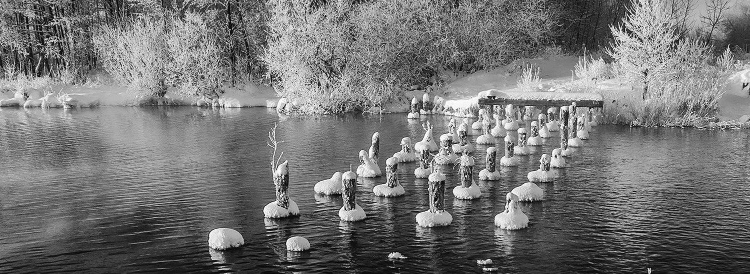 , Анатолий Зверев