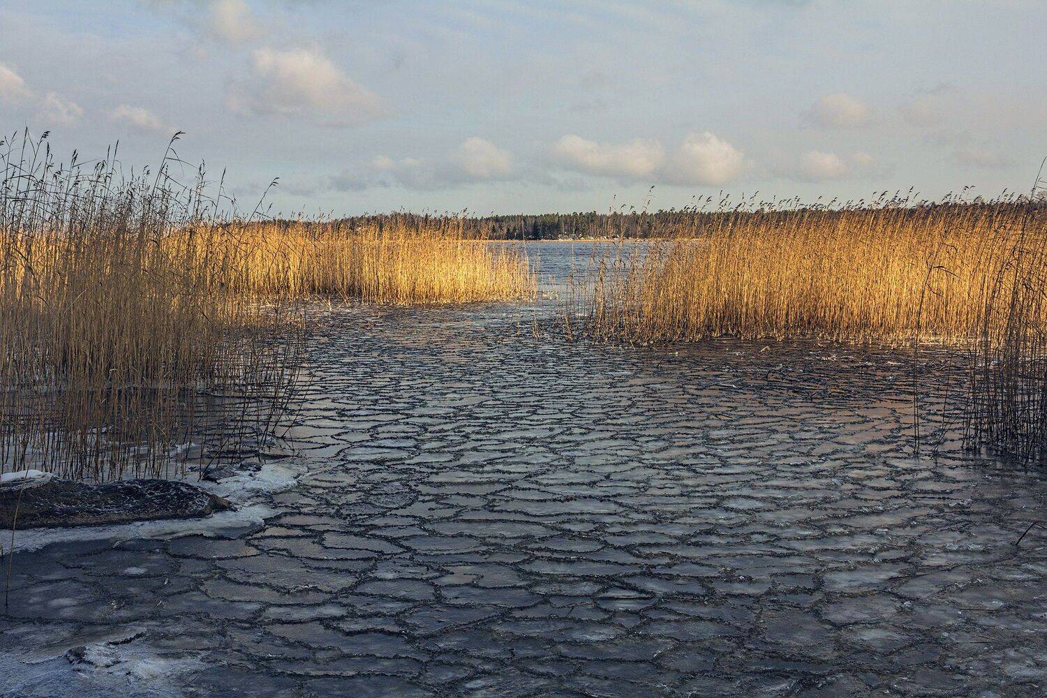 выборгский залив,бухта ключевская,первый лед, alexOmRam