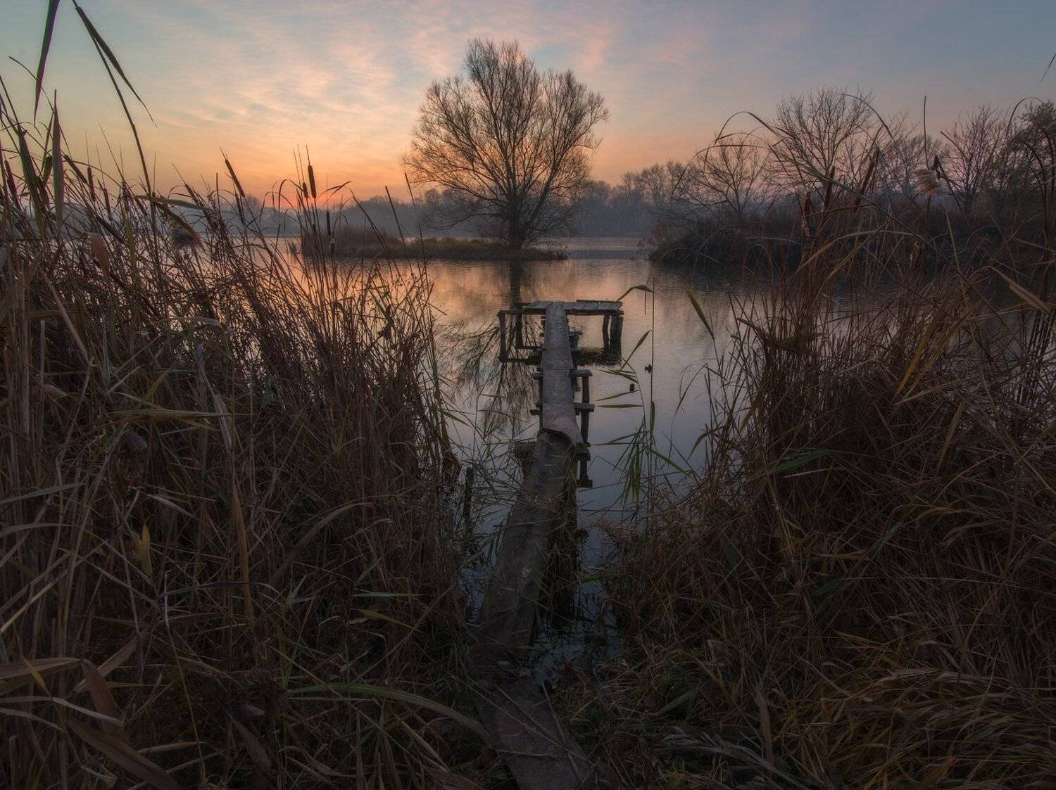 , Сергей Добровольский