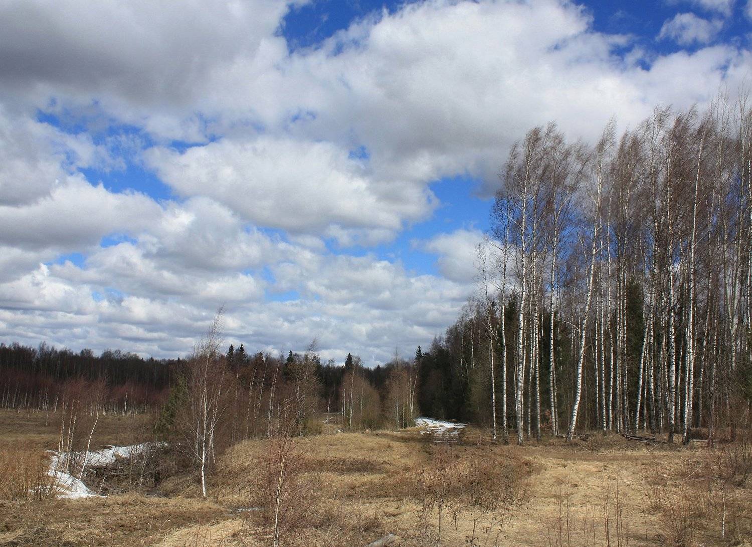 весна, Свистков Александр