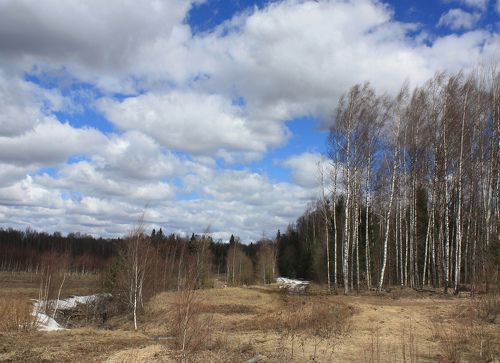 Русский пейзаж )