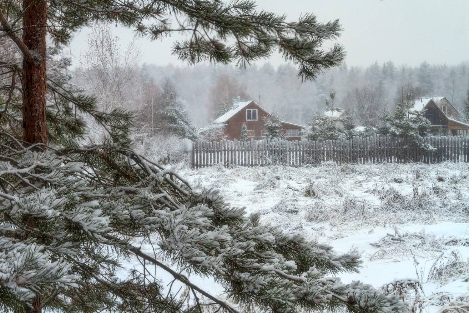 , Евгений Ерохин