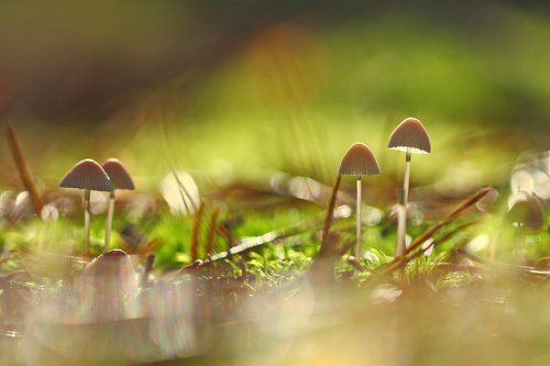 Редкий солнечный день