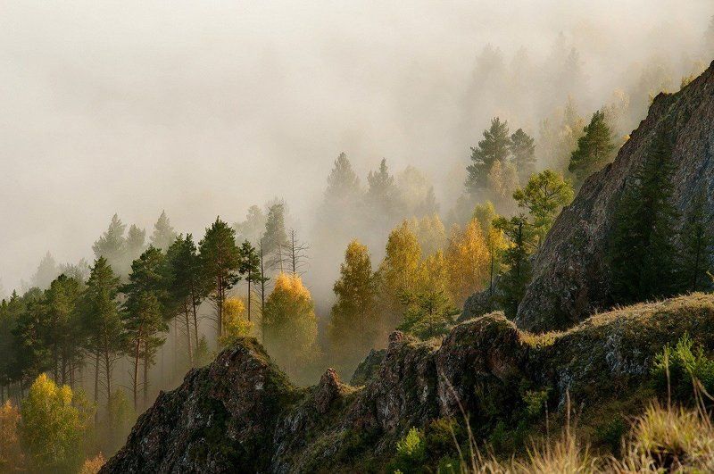 Осенние склоны Базаихи.. фото превью