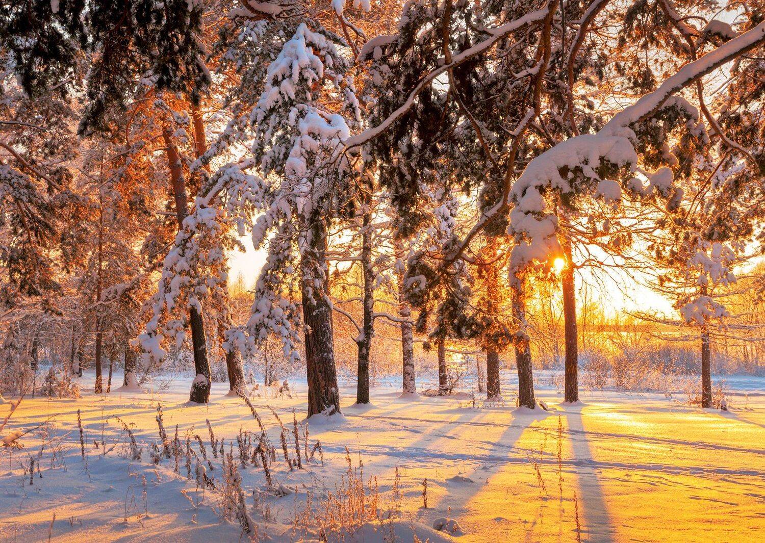 , Олег Богданов