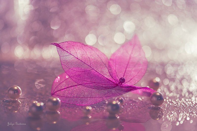 разноцветная осень фото превью