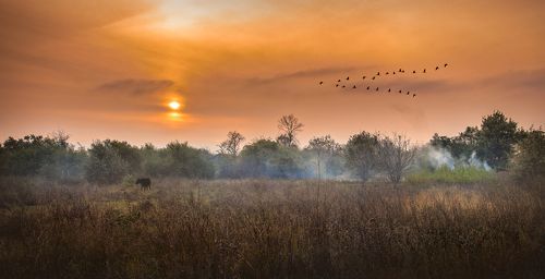 the breath of autumn..