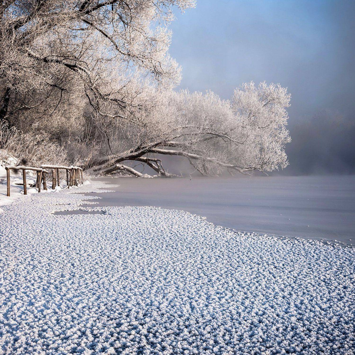 , Анатолий Зверев
