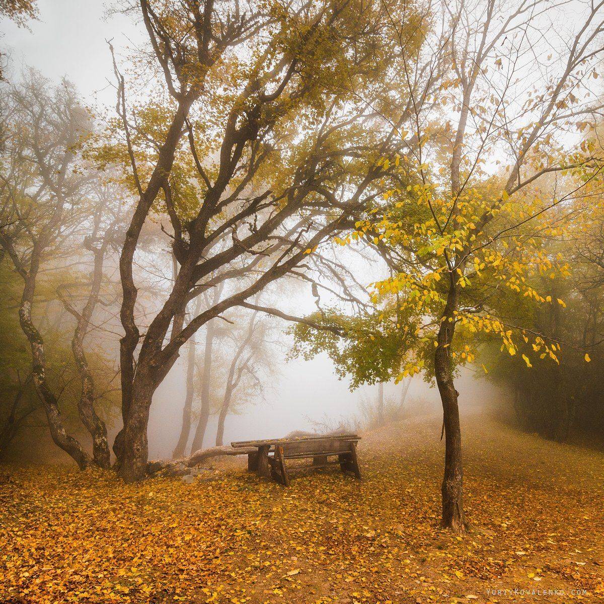 , Юрий Коваленко