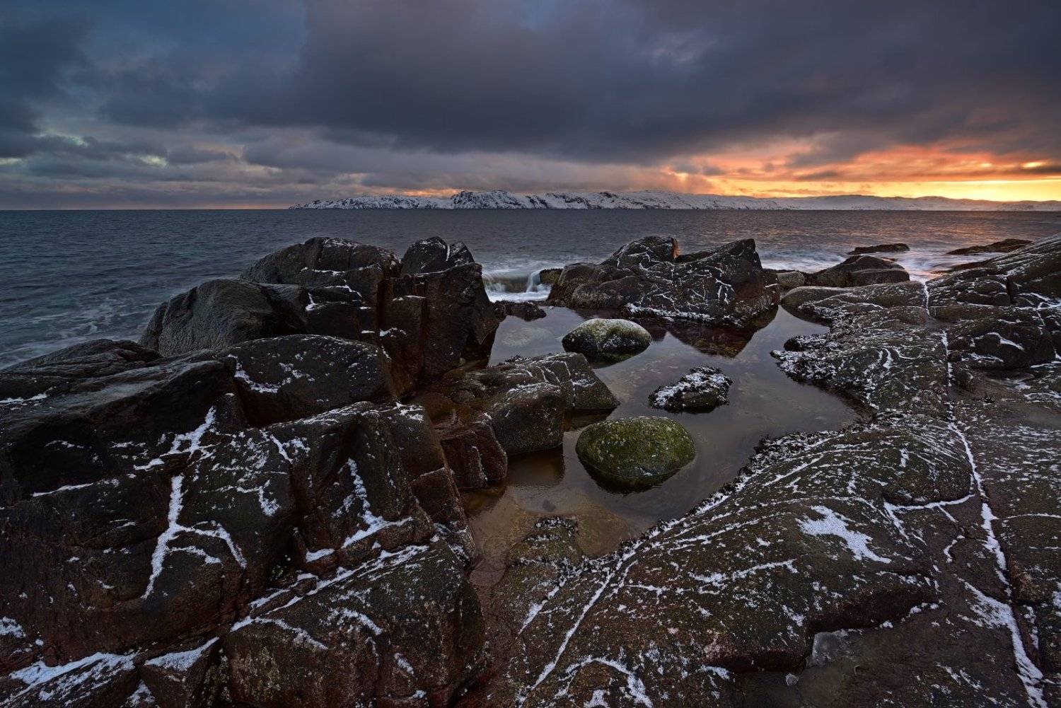 , Максим Евдокимов ( www.wildphotorus.ru )