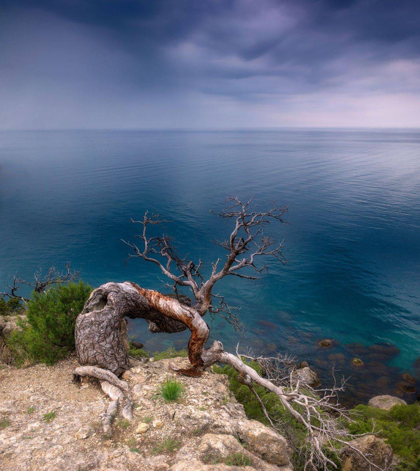 , Сергей Брагин