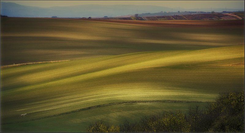 50 оттенков........... фото превью