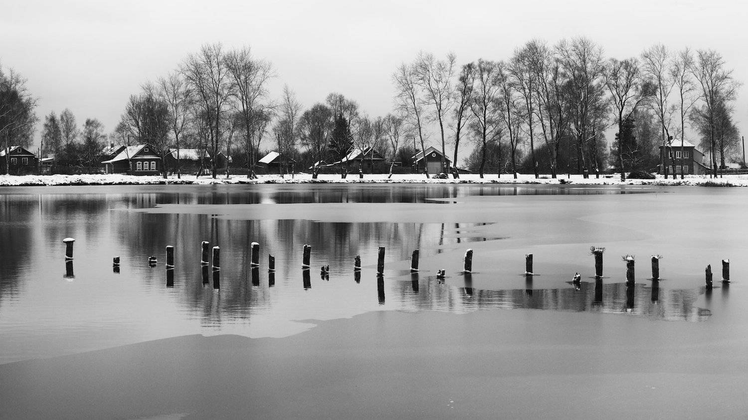 , СПИРИДОНОВ НИКОЛАЙ