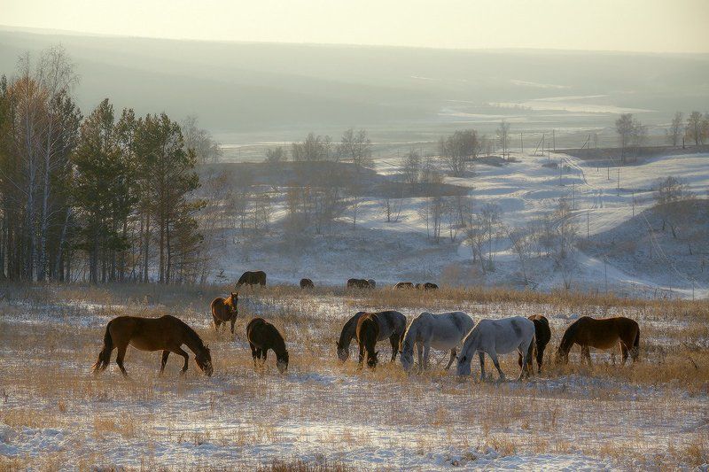 В ноябре фото превью
