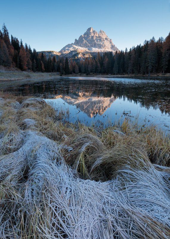 Нити утреннего холода \\ Threads cold morning фото превью