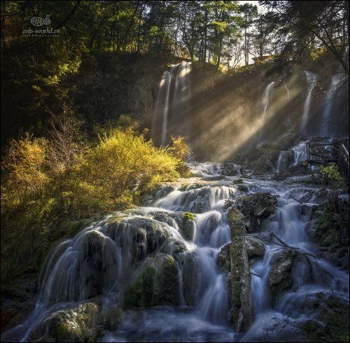 Утренний свет...