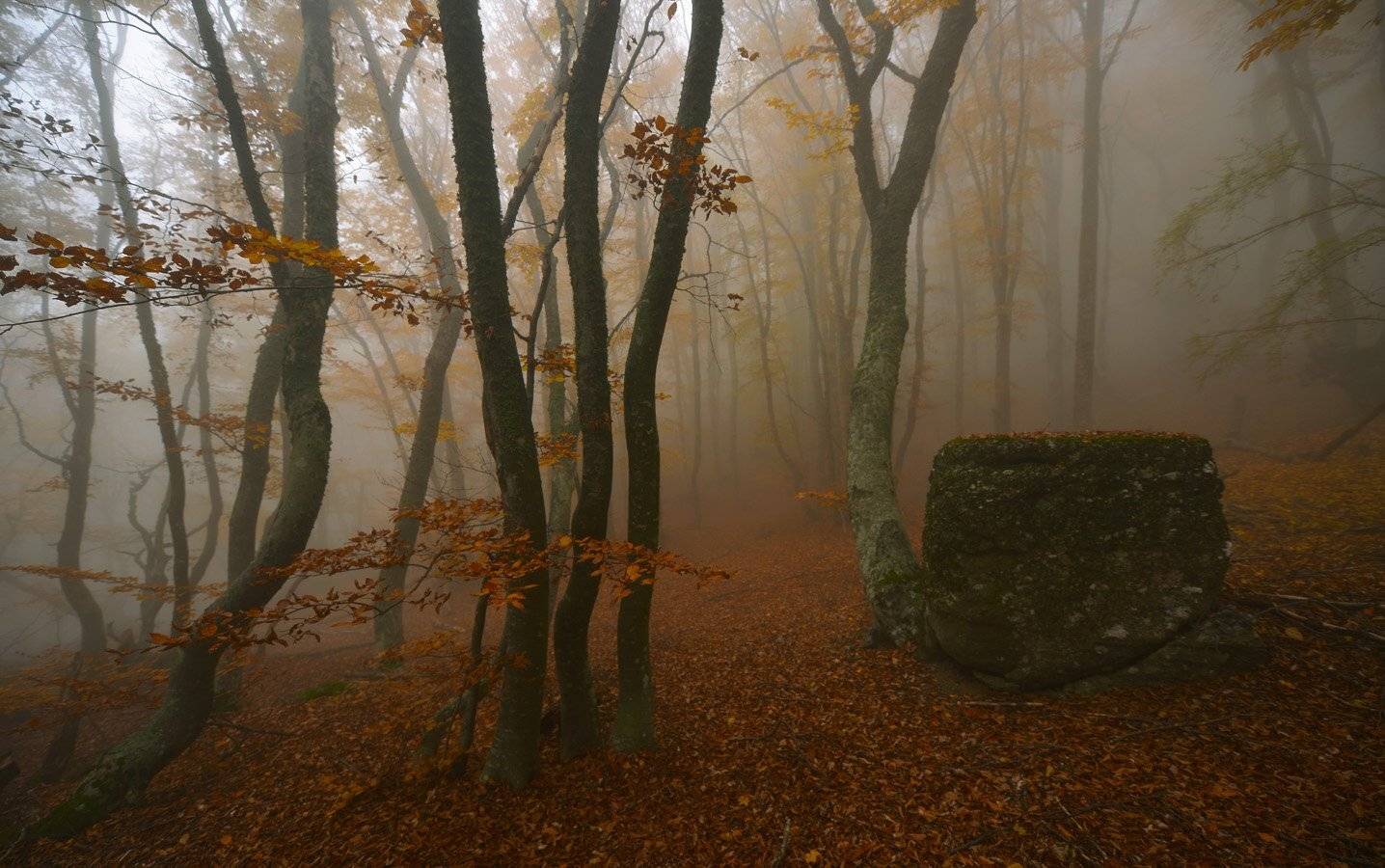 , Сергей Седов