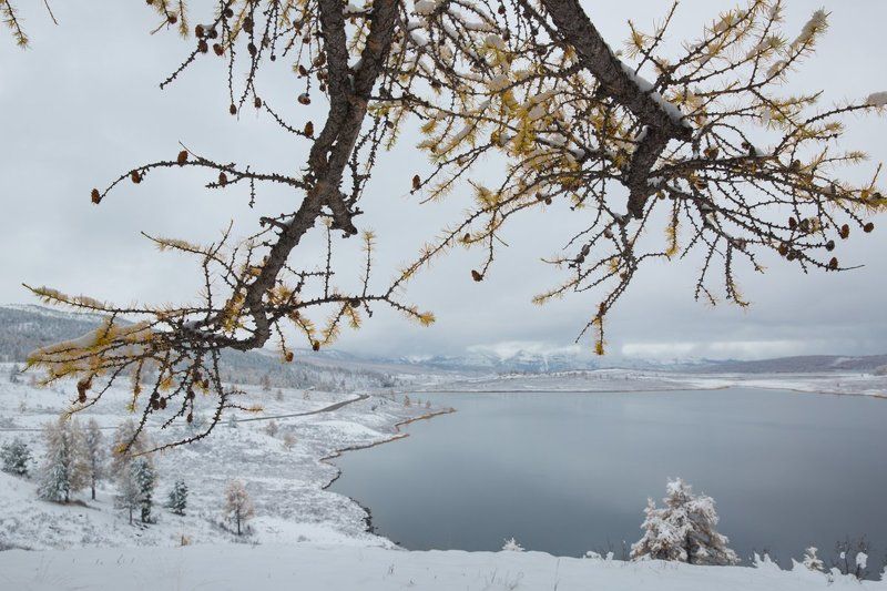 осенняя капитуляция фото превью